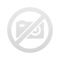 2026 Fiesta Medal